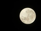 Księżyc nad Janowcem wtorek 15.11.2016 Fot. Marcin Kornaś